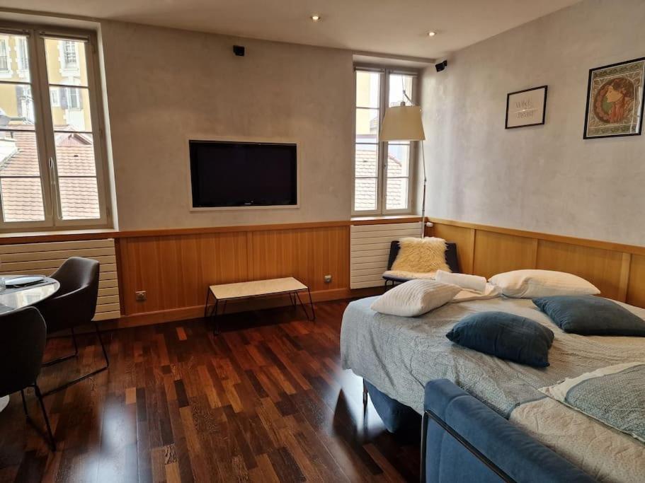 Appartement Annecy Centre Historique Parking Inclus Dış mekan fotoğraf